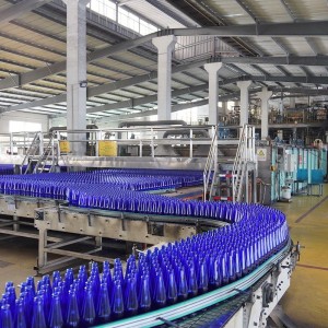 China 750ml 550g Push Up Cork Finish Burgundy Glass Bottle Manufacturer and Company | QLT
