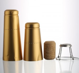 China 500 ml champagne glass wine bottle with cork Manufacturer and Company | QLT