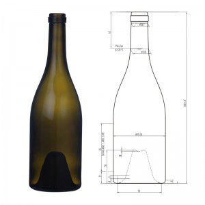 China 750ml 890g syrahs glass wine bottle Manufacturer and Company | QLT